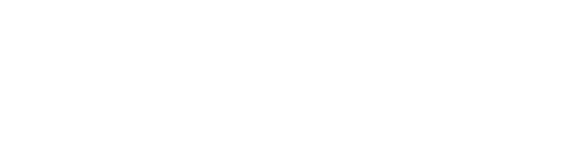 TU University